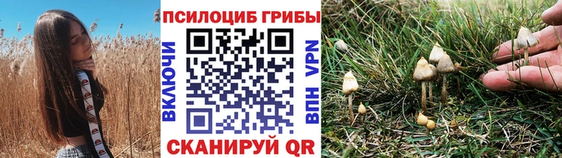 Псилоцибиновые грибы ЛСД  Суздаль 