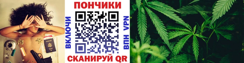Конопля гибрид Суздаль