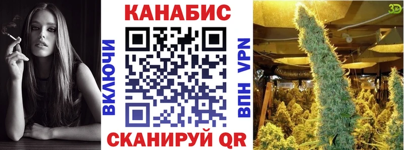 даркнет клад  Суздаль  Марихуана тримм 